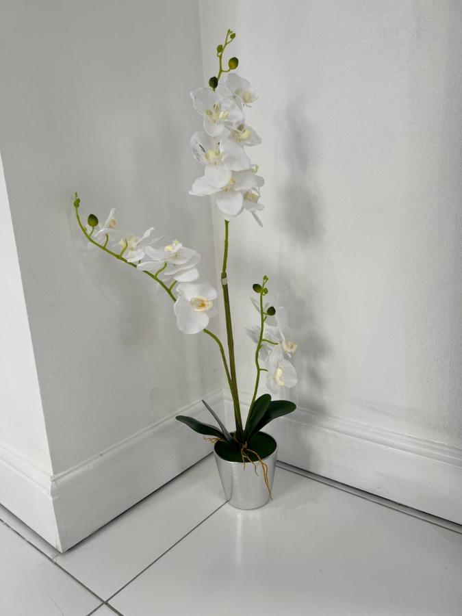 Belle Luxury Apartments グロス・アイレット エクステリア 写真